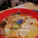 양다리꼬치넘버원 (NO.1) | 호주 시드니 맛집 넘버원 마라탕 혼자 내돈내산 혼밥 가격 해쭈 추천