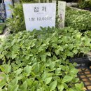 현대종묘사 이미지