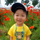 성우유치원 이미지