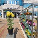 벌교읍행정복지센터