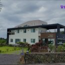 달숲하우스 | 제주도 게하 게스트하우스 숙소 펜션 달숲게스트하우스 달숲게스트하우스, 포근한 안식처