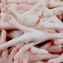 닭발의 꿈 이미지