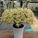 승진농장 이미지