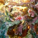 표선면 표선리 2954-6 | 11월 제주, 서건도 카라반/이재모피자/하루필름/고기장