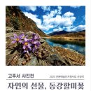 자연의선물 이미지