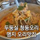 두둥실 청둥오리 이미지