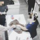 고동물병원 이미지