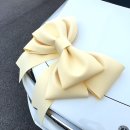 벽산카서비스 이미지