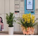 큐크리닝 이미지