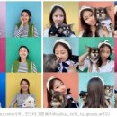 애견나라 이미지