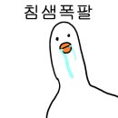 미스터회수산