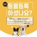 창현동물병원 네이버블로그