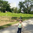 흙이랑 나무랑 이미지