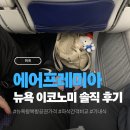에어프레미아 뉴욕 이코노미 가격, 기내식, 좌석 간격 모두 만족한 후기