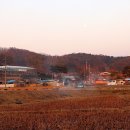 주곡리 장승제 이미지