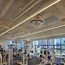 에이치오 이미지