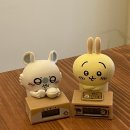 리꼬비101 이미지