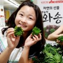 웰빙빅마켓 - 관악구 양녕로 49 | 웰빙빅마켓