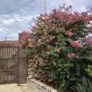 행복한 감포 민박 이미지