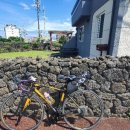 J 김녕 169 이미지