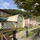 천문대오토캠핑장 이미지