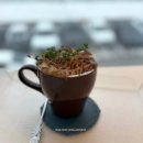 청해펜션 | 2026년 설날 연휴 무계획 강릉여행 DAY1 / 안목카페거리 / 강릉 사천진해변 스파펜션추천