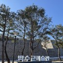 박수근 미술관