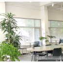 동백평촌로 이미지