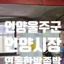 연동한방족발