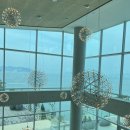 몰리힐스(MOLLI HILLS) 이미지