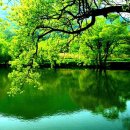 사랑이야기 이미지