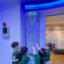 위즈캐슬유치원 이미지