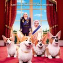 프린스 코기 이미지