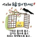 빵심이네