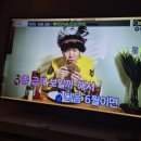 코인몽동전노래연습장 이미지