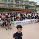 자인여자중학교 네이버블로그