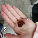 산사나무한의원 이미지