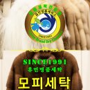 로얄명품세탁 이미지