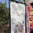 실로잇다