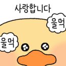 일미리금계찜닭(두암점)