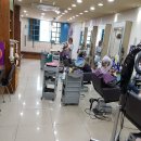 벨라헤어 이미지