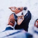 성마루농장 이미지