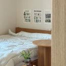 인더그린 바자르 <b>인</b><b>더</b>빌리지 <b>그린</b>멜버른 사용 찐후기 ✨ l 폭신한 봄 이불