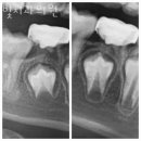 서울빛치과의원 이미지