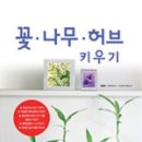 꽃보다 허브