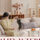 디테일라이프 이미지