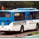 용남자동차운전전문학원 이미지