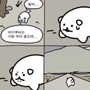 충칭우육면