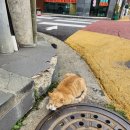 소담베이커리 이미지