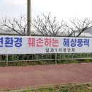 대정2리 이미지